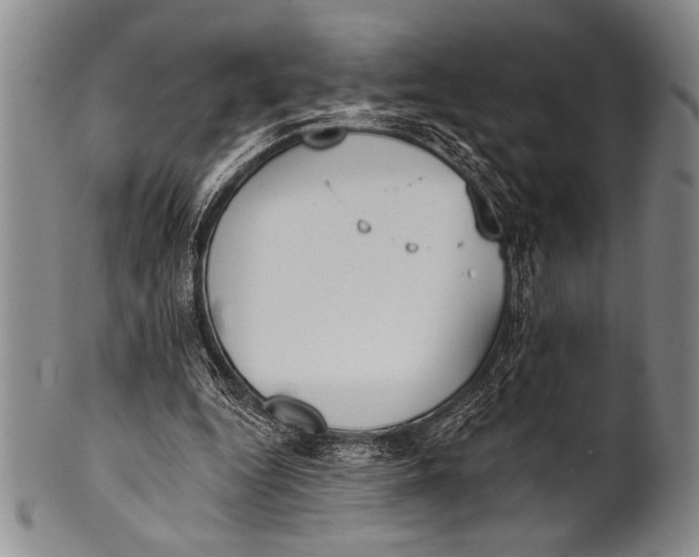 X0000100330344200806261307