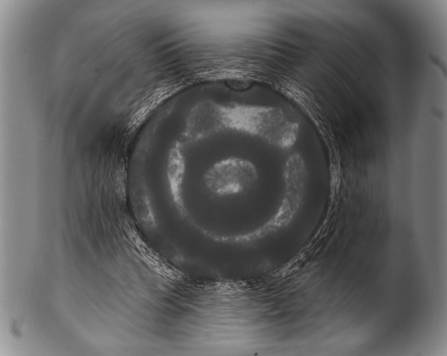 X0000100330345200806261307