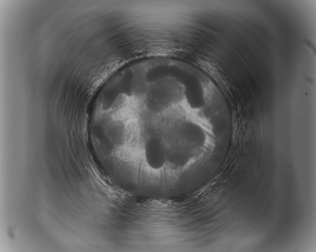 X0000100330346200806261307