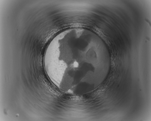 X0000100330347200806261307