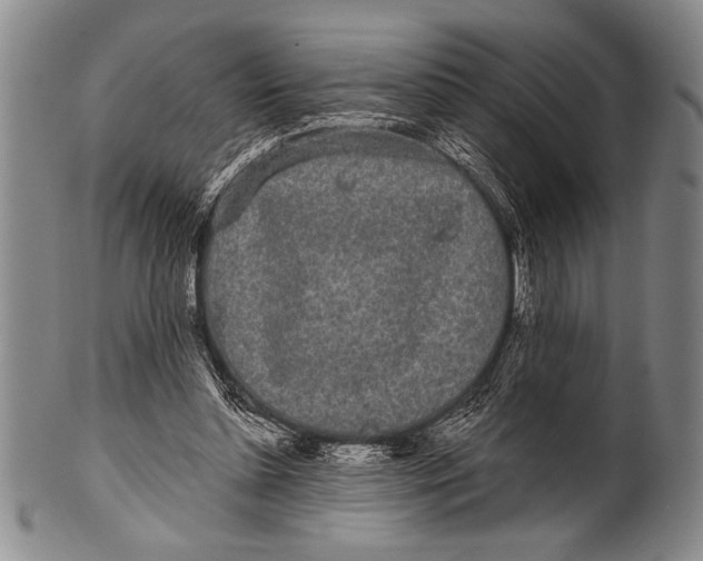 X0000100330348200806261307