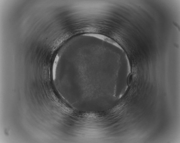 X0000100330349200806261307