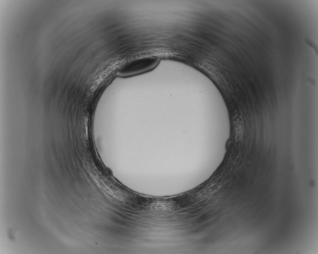 X0000100330350200806261307