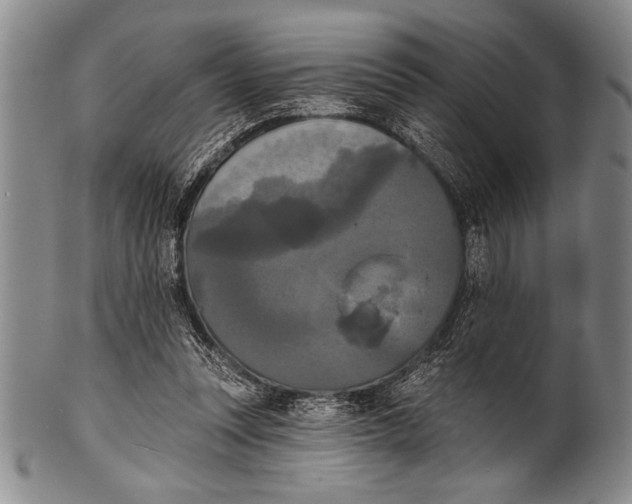 X0000100330351200806261307