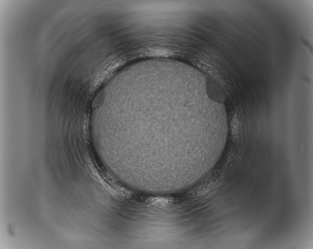 X0000100330352200806261307