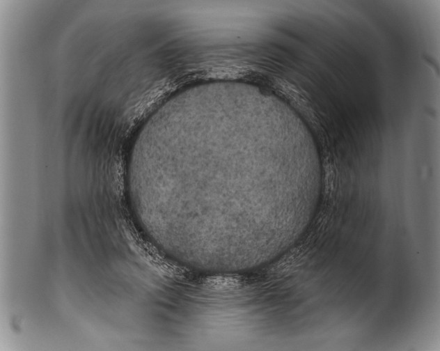 X0000100330354200806261307