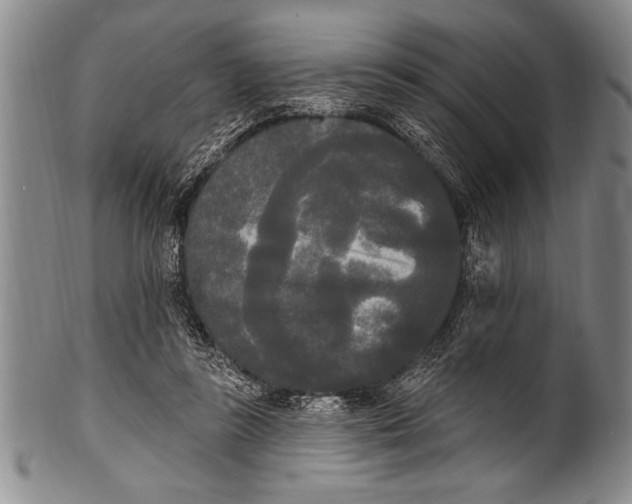 X0000100330355200806261307