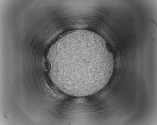 X0000100330356200806261307