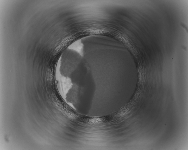 X0000100330357200806261307