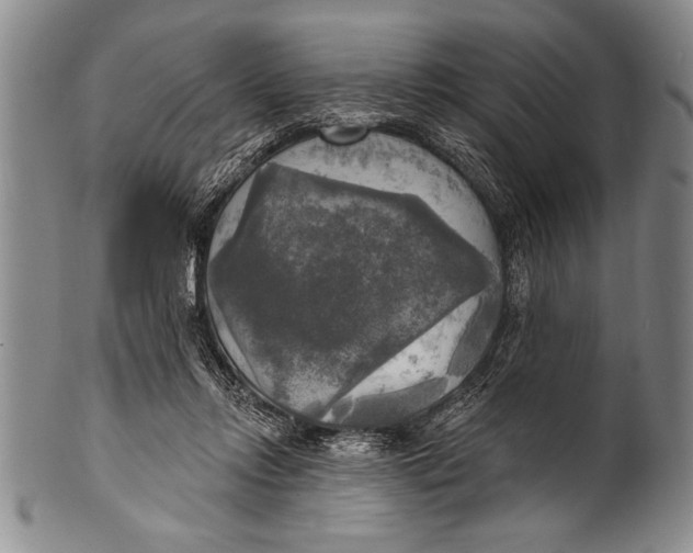 X0000100330358200806261307