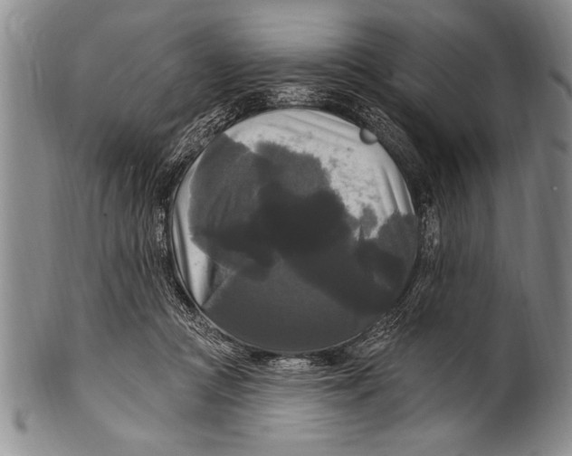 X0000100330361200806261307