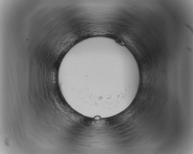 X0000100330362200806261307