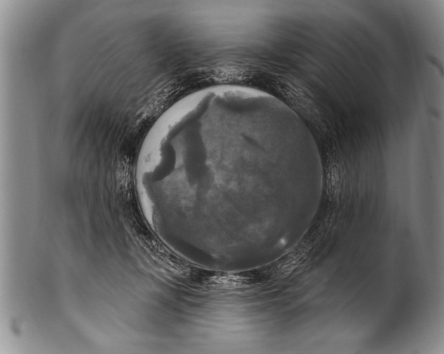 X0000100330367200806261307