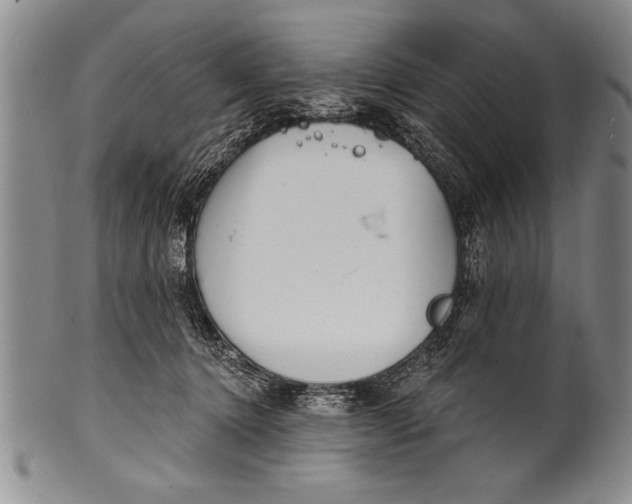 X0000100330368200806261308