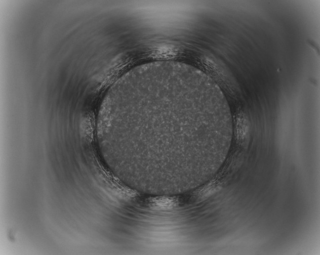 X0000100330370200806261308