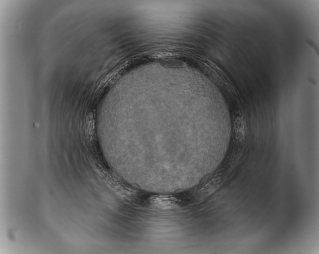 X0000100330372200806261308