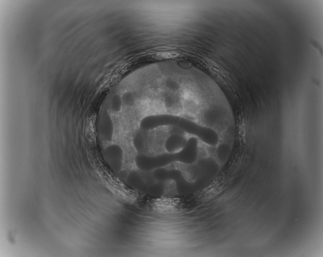 X0000100330373200806261308