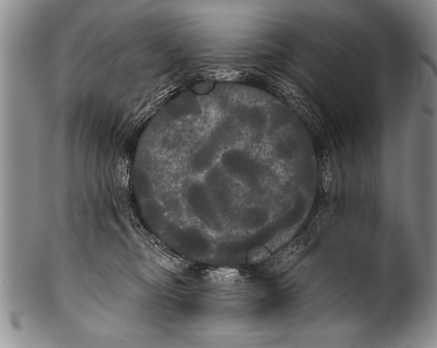 X0000100330374200806261308