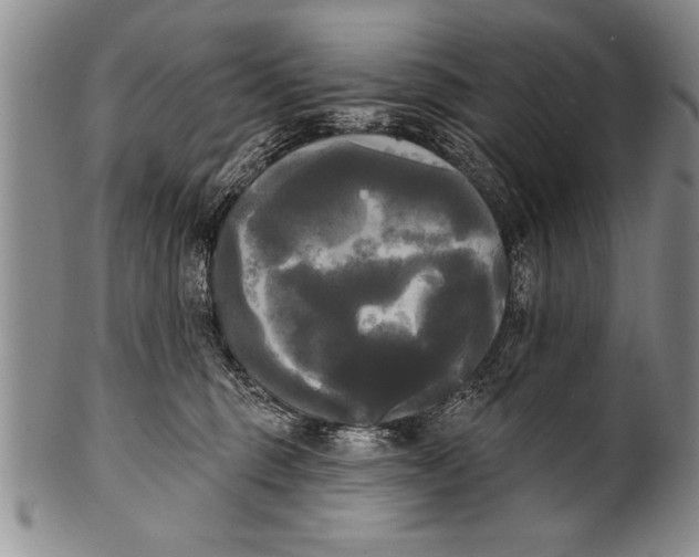 X0000100330375200806261308