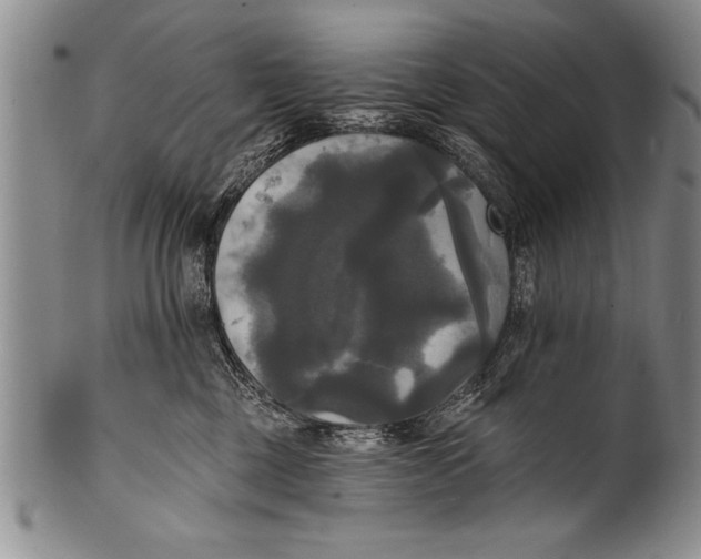 X0000100330377200806261308