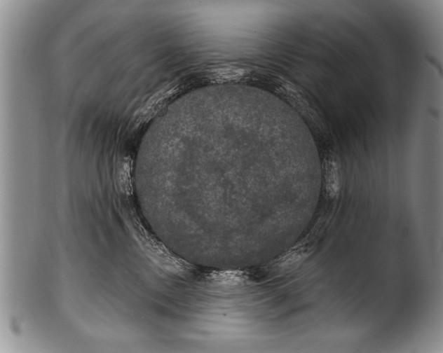 X0000100330378200806261308