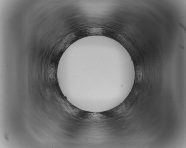 X0000100330379200806261308