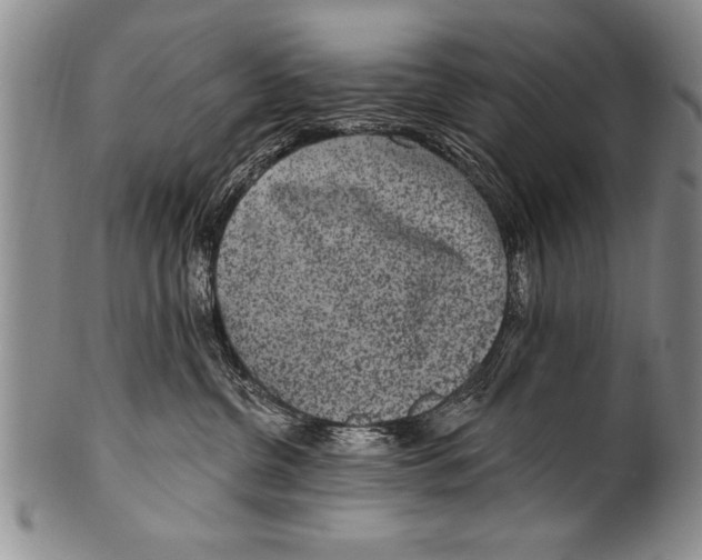 X0000100330380200806261308