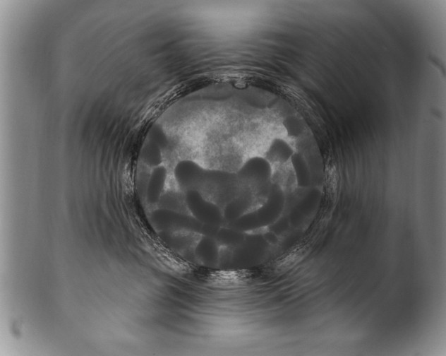 X0000100330381200806261308