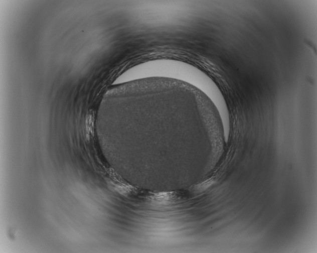 X0000100330382200806261308