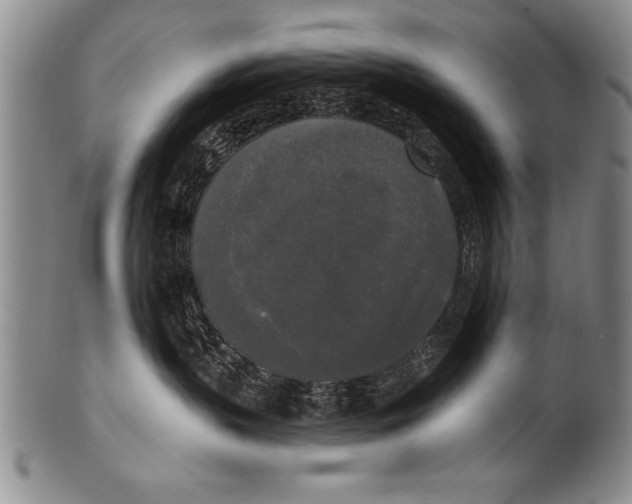 X0000100330383200806261308