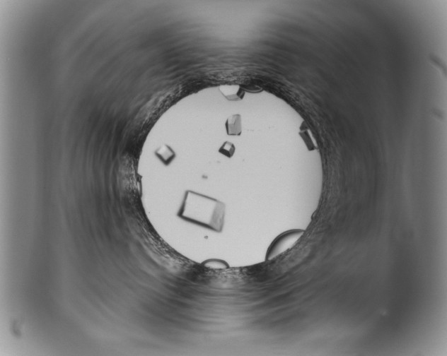 X0000100330384200806261308