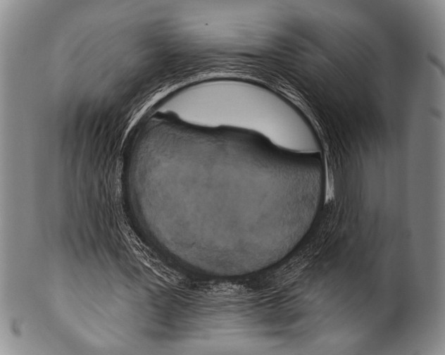 X0000100330387200806261307