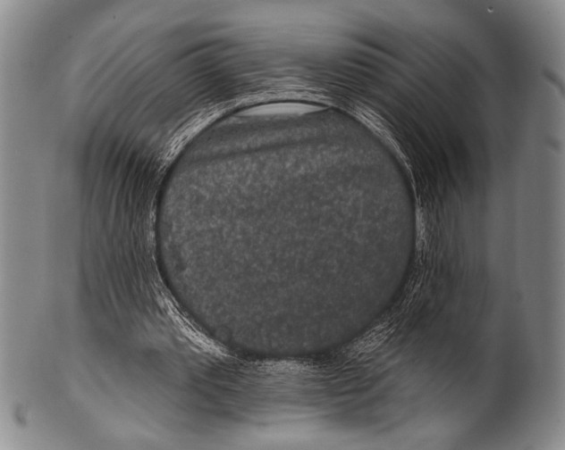 X0000100330389200806261307