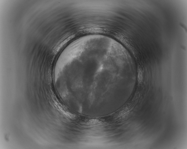 X0000100330390200806261307