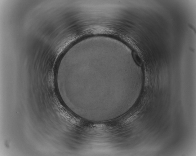 X0000100330391200806261307