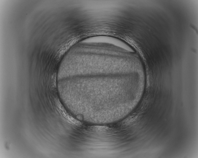 X0000100330393200806261307