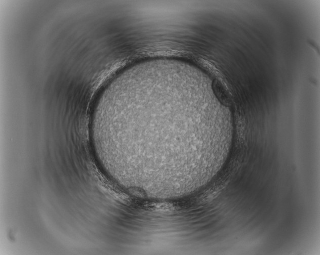 X0000100330395200806261307