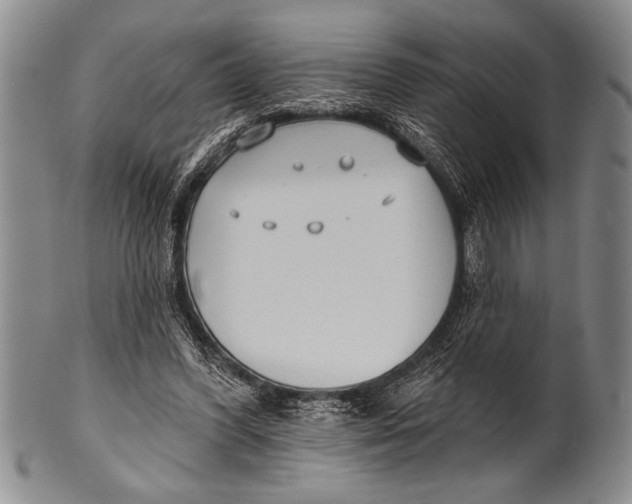 X0000100330396200806261307