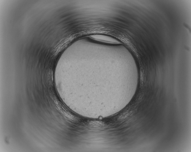 X0000100330397200806261307