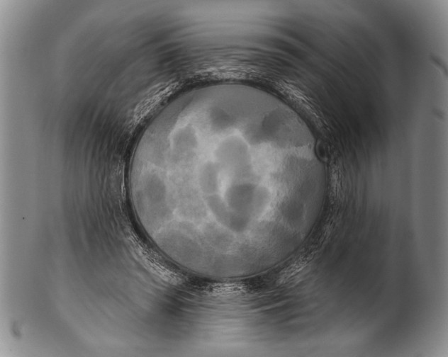 X0000100330398200806261307