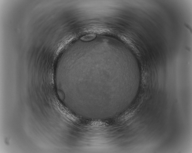 X0000100330399200806261307