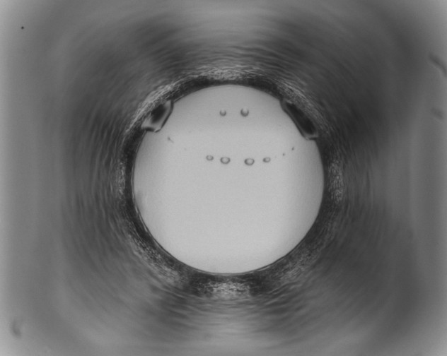 X0000100330400200806261307