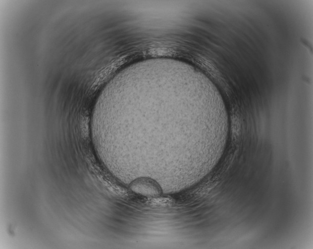 X0000100330401200806261307