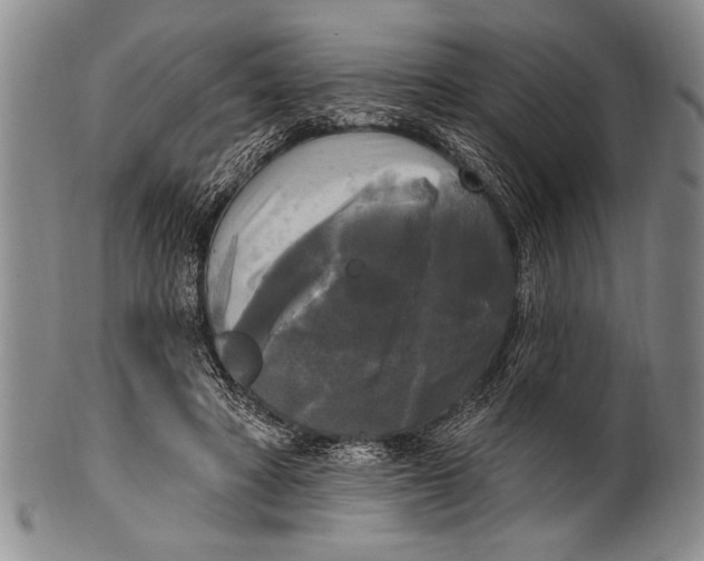 X0000100330402200806261307