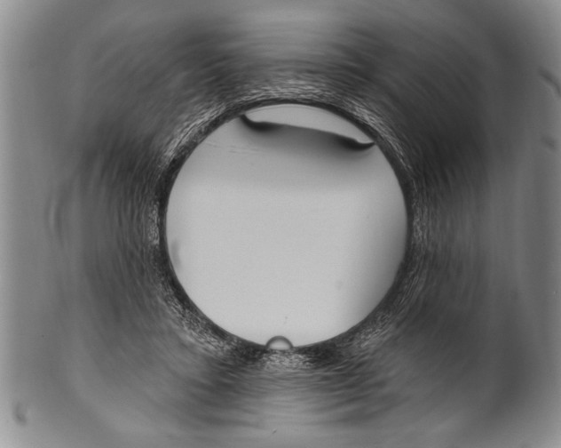 X0000100330403200806261307