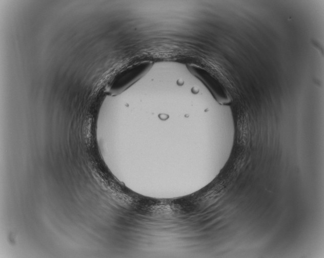 X0000100330404200806261307