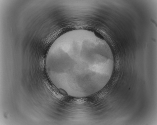 X0000100330405200806261307