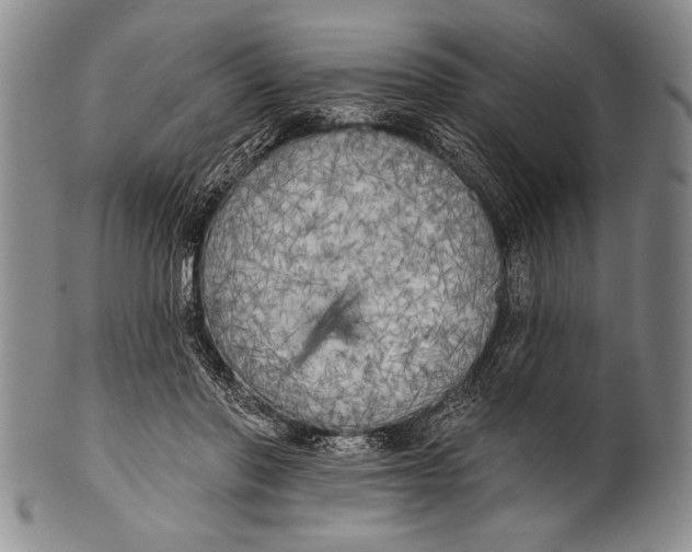 X0000100330406200806261307