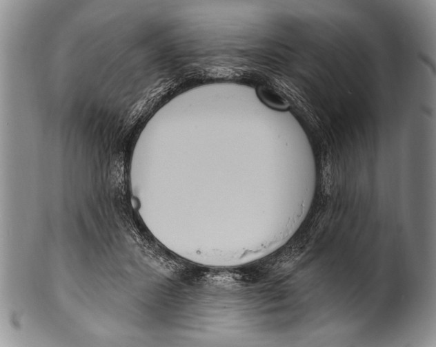 X0000100330407200806261307