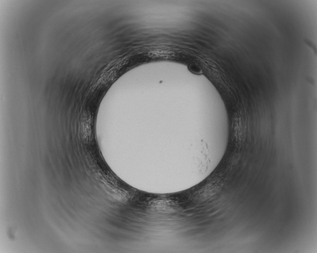 X0000100330408200806261307